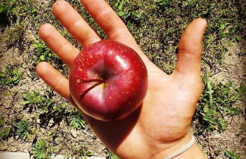 Agritur Leita - Foto 55