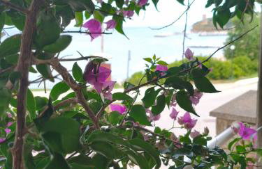Lia Apartment Sea View - Foto 27