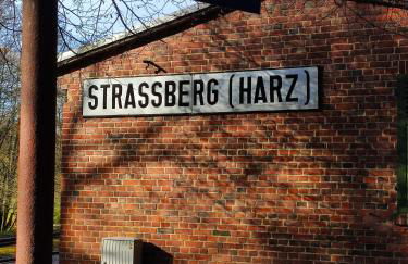 Ferienhaus Blaue Blume mit 11 kW Ladestation, Kamin, Terrasse, eingezäuntem Garten, Sauna, WLAN, Netflix, 2 Hunde willkommen! - Foto 69