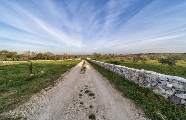 Tenuta del Grillaio - Foto 24