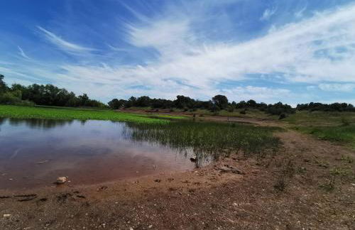 PASSION DU VAR - Photo 25