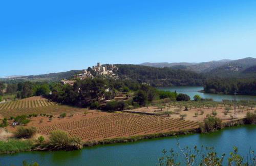 Ca l'Helena - Foto 19