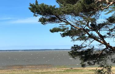 Domki na Skarpie - Wypoczynek z widokiem na Zalew - Frombork - Foto 30