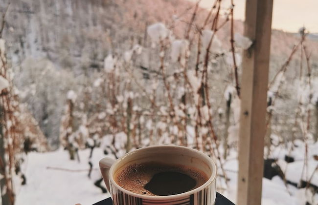 Vineyard cottage Matej - Foto 42