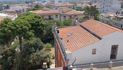 OLIVIA e TETI - Foto 4