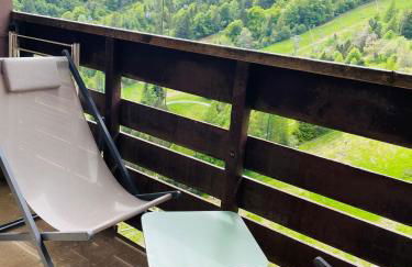 Studio pied de pistes Tour de la Biche - Photo 10