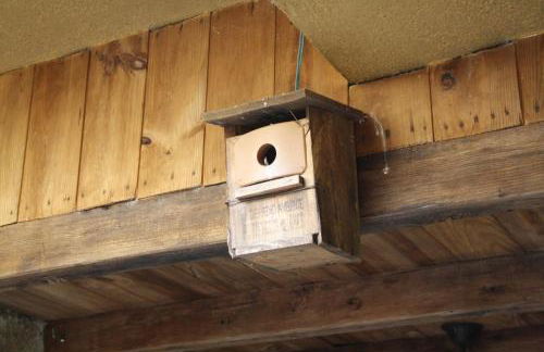 Casa rural y Habitaciones La Cañada en Monfrague Torrejon el Rubio - Foto 51