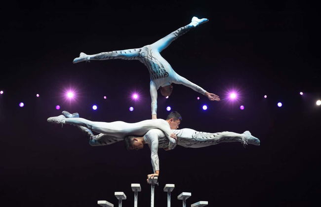 Espectáculo acrobático en el Red Theatre - Foto 4