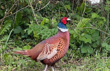 Highermead House - Foto 25