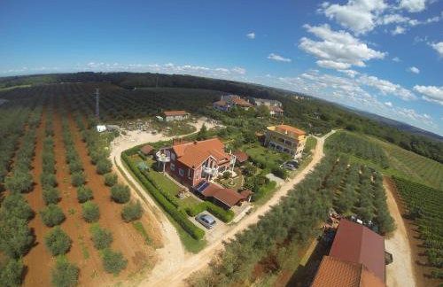 apartma Jelka - Foto 37