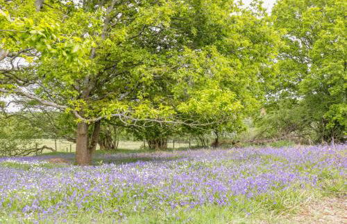 Pheasant Lodge - Photo 31