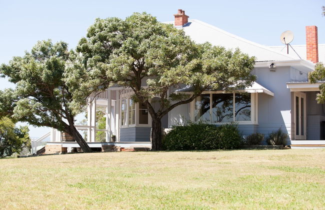 Audrey Wilkinson Vineyard - Foto 17