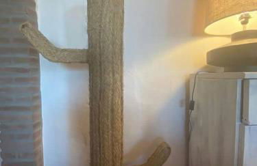 Monte Das 7 Oliveiras - Foto 27