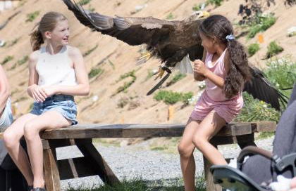 Der Eifel Perle Manderscheid - Foto 41