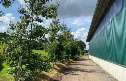 Ferienwohnung an der Reitanlage - Foto 11