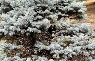 Bright, Airy Home in Hudson! - Foto 27