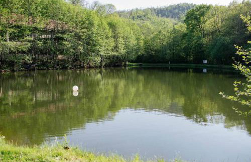 Appartamento ACQUA - Lago Maggiore Colazza - Foto 6