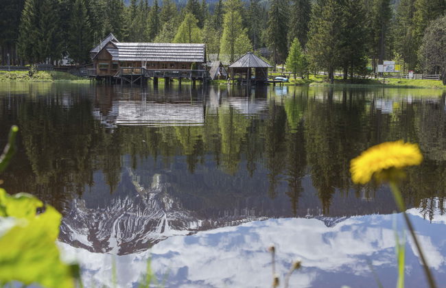 Superior #56 mit IR-Sauna&Sprudelbad - Foto 10