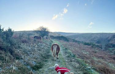 Moorleigh House Entire Property Sleeps 10 - Foto 68