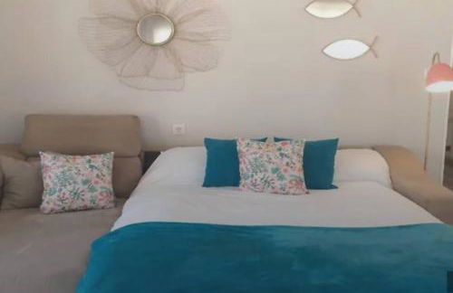 Alojamiento Oasis Playa - Foto 9