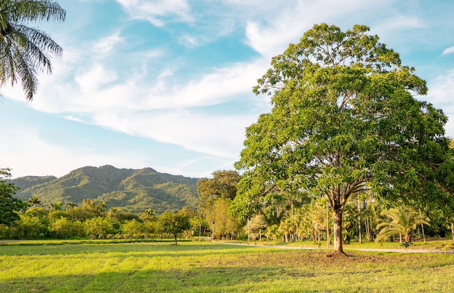 Hacienda La Huerta - Photo 28