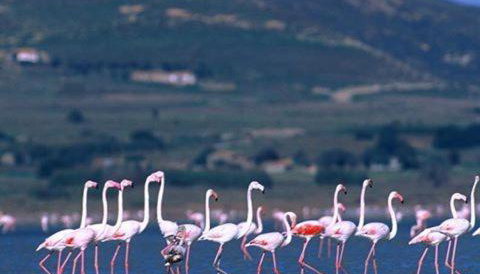 Eri's House - Foto 2