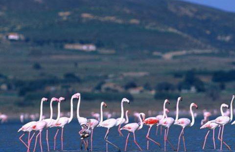 Eri's House - Foto 2