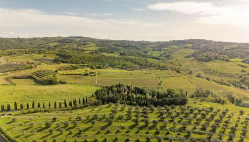 Podere Fignano, holiday home - apartments renovated 2024 - new swimming pool - Foto 2