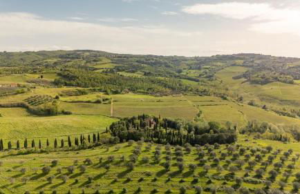 Podere Fignano, holiday home - apartments renovated 2024 - new swimming pool - Foto 2