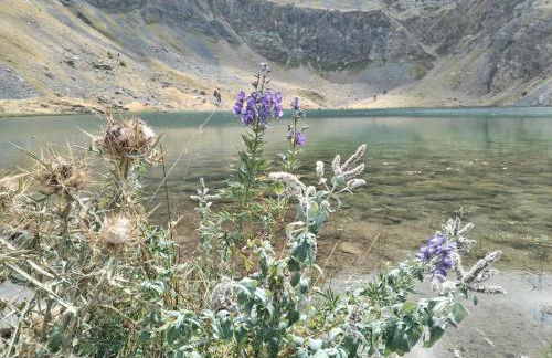 Casa Lobo Panticosa - Photo 15