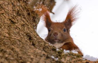 Modernes Gartenatelier am Mühlenfließ - Foto 22
