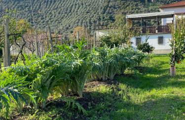 La tenuta di Eva - Foto 27