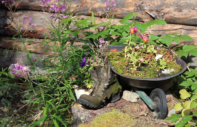 Blackburn Cabins - Photo 48