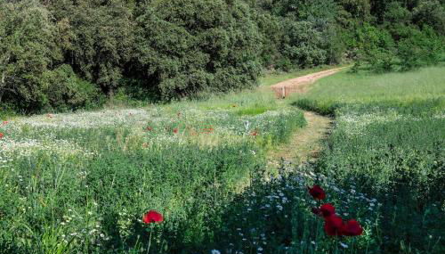 Idyllic Riverside Provencal Farmhouse - Foto 4