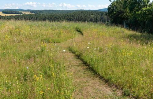 Ferienhaus in Tannesberg for 4 Personen - Foto 59