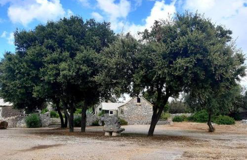 Country House Hacienda - Photo 13