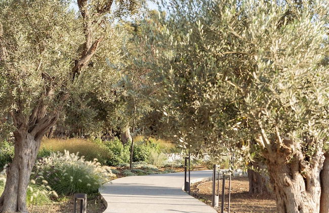 Elies Residences - Photo 43