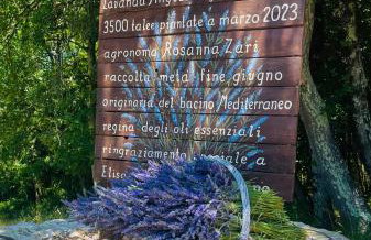 Agriturismo Podere Poggiarone - Foto 22