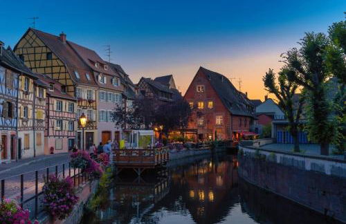 Le Belvédère Alsacien - Foto 39