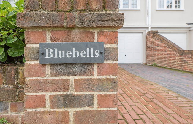 Bluebells Aldeburgh Air Manage Suffolk - Photo 42