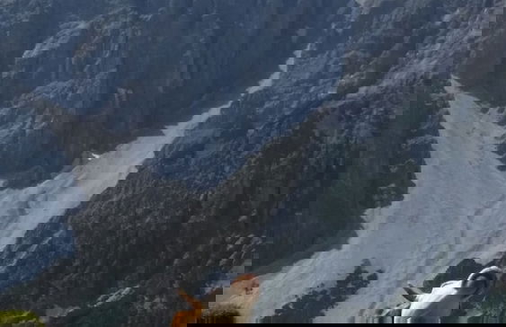 Appartments Zinner-Pale - Foto 51