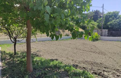 Anastasia's house - Foto 16