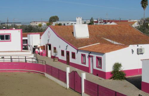 Lusitaurus - Foto 41