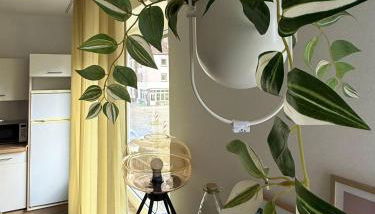 Hanse Vermietung 3 - Foto 3