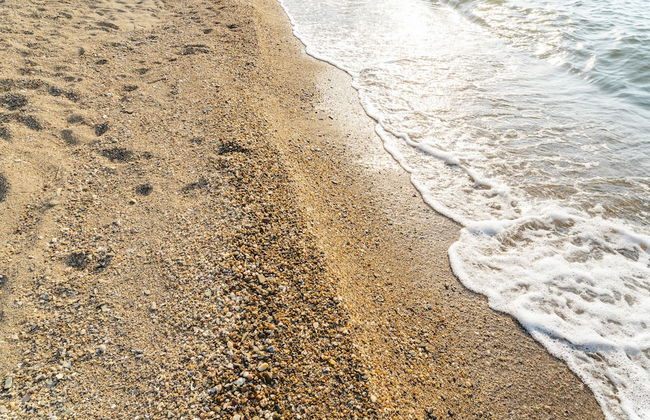 Bodrum Bargilya Villaları - Foto 47