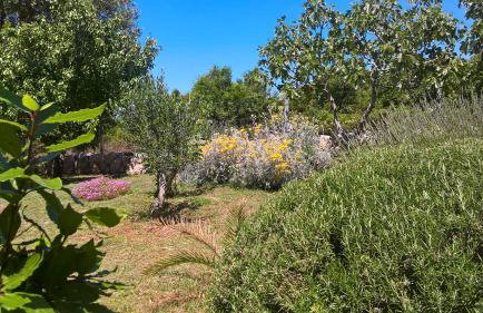 Apartments Krušvina - Foto 74