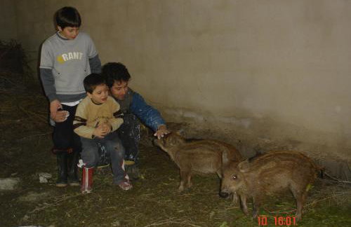 Aroggia Farm - Foto 53