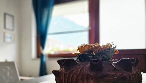 "Traineau"alloggio in villa tipica - Foto 5