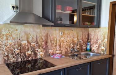 Gaststätte und Pension Zur Schiene - Foto 24