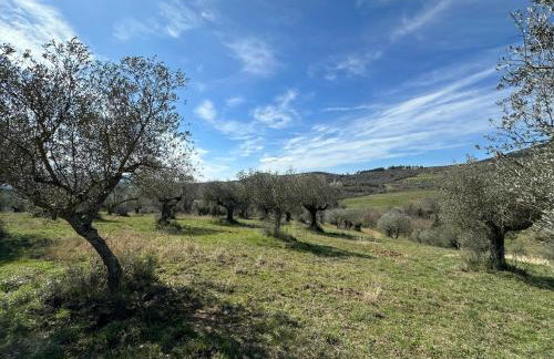 Villa Amici Apartment - Photo 30